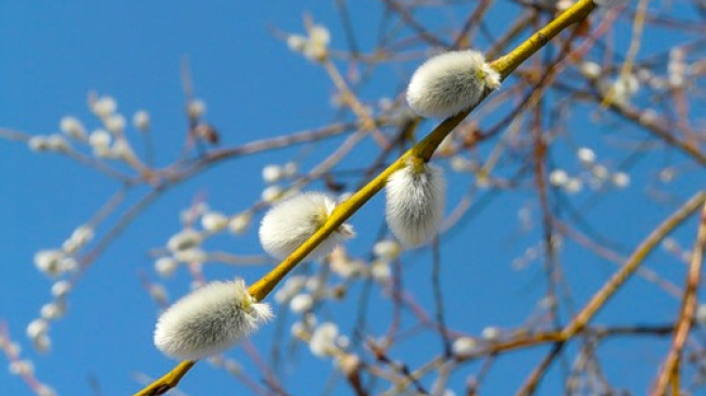 К концу недели в Молдове похолодает