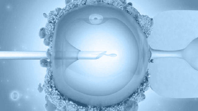 Экстракорпоральное оплодотворение – роскошь для Молдовы
