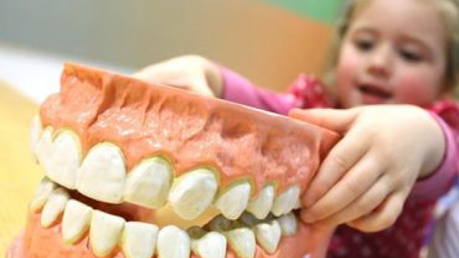 Археологи выяснили, что ели дети в средневековой Англии