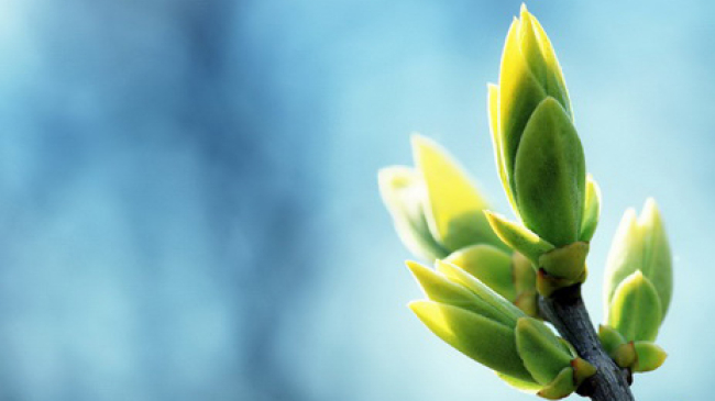 В первый день весны будет тепло и дождливо